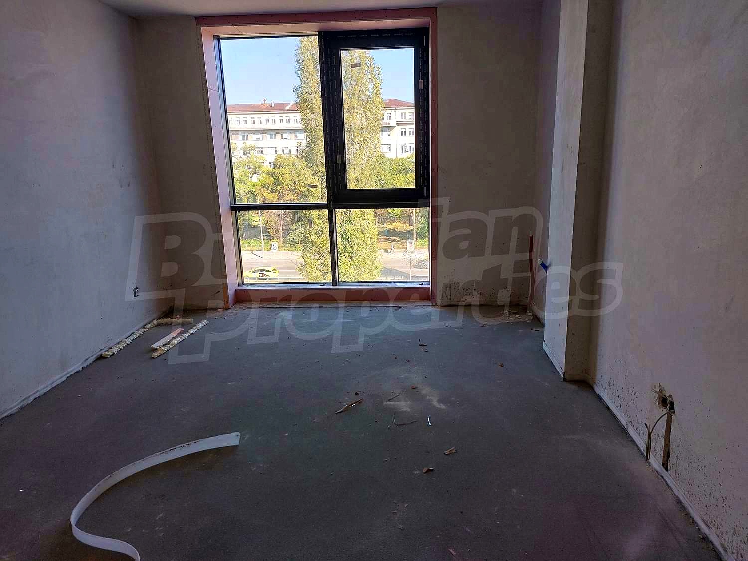 Gallery Picture 29