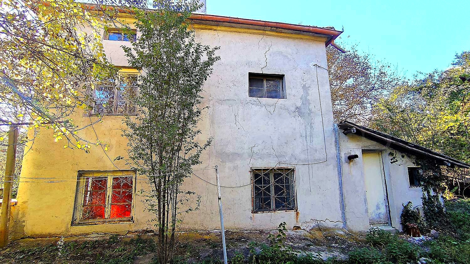 Gallery Picture 27