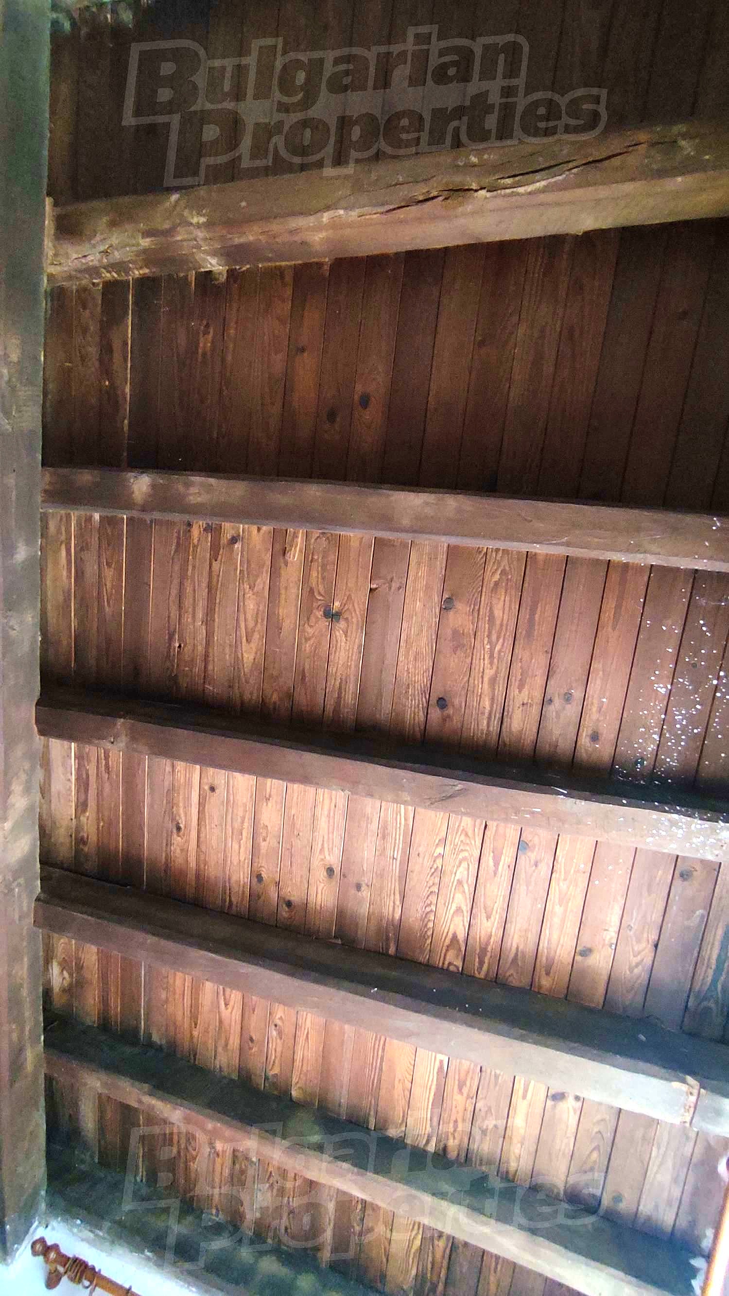 Gallery Picture 17