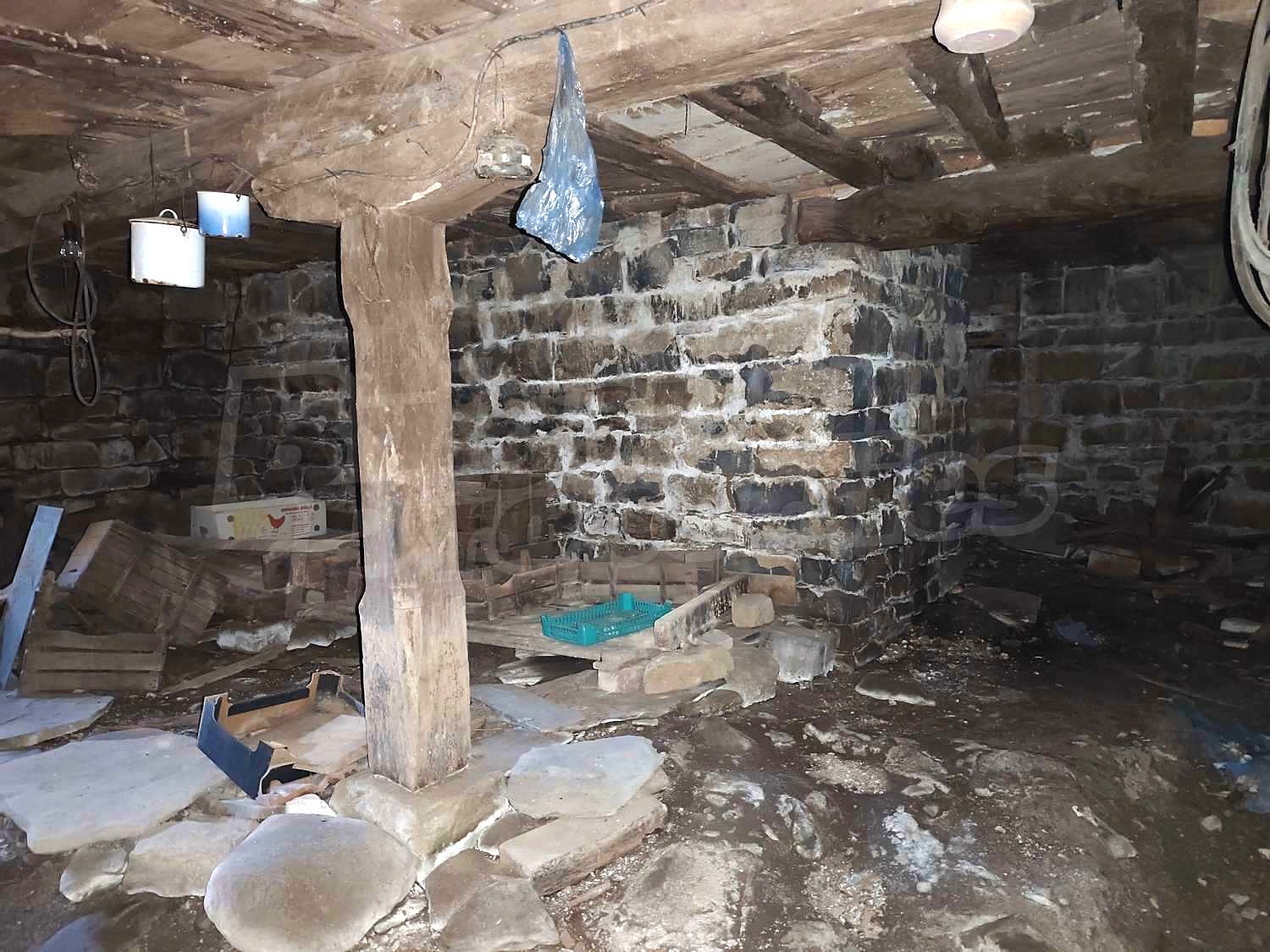 Gallery Picture 4