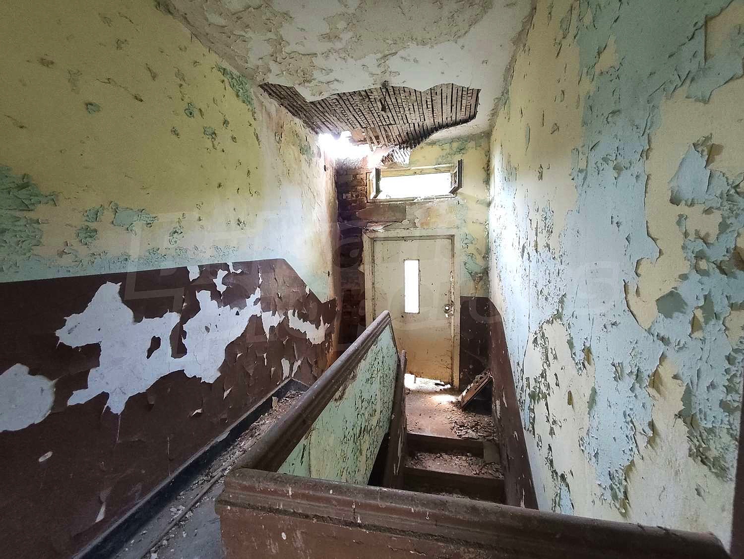 Gallery Picture 10