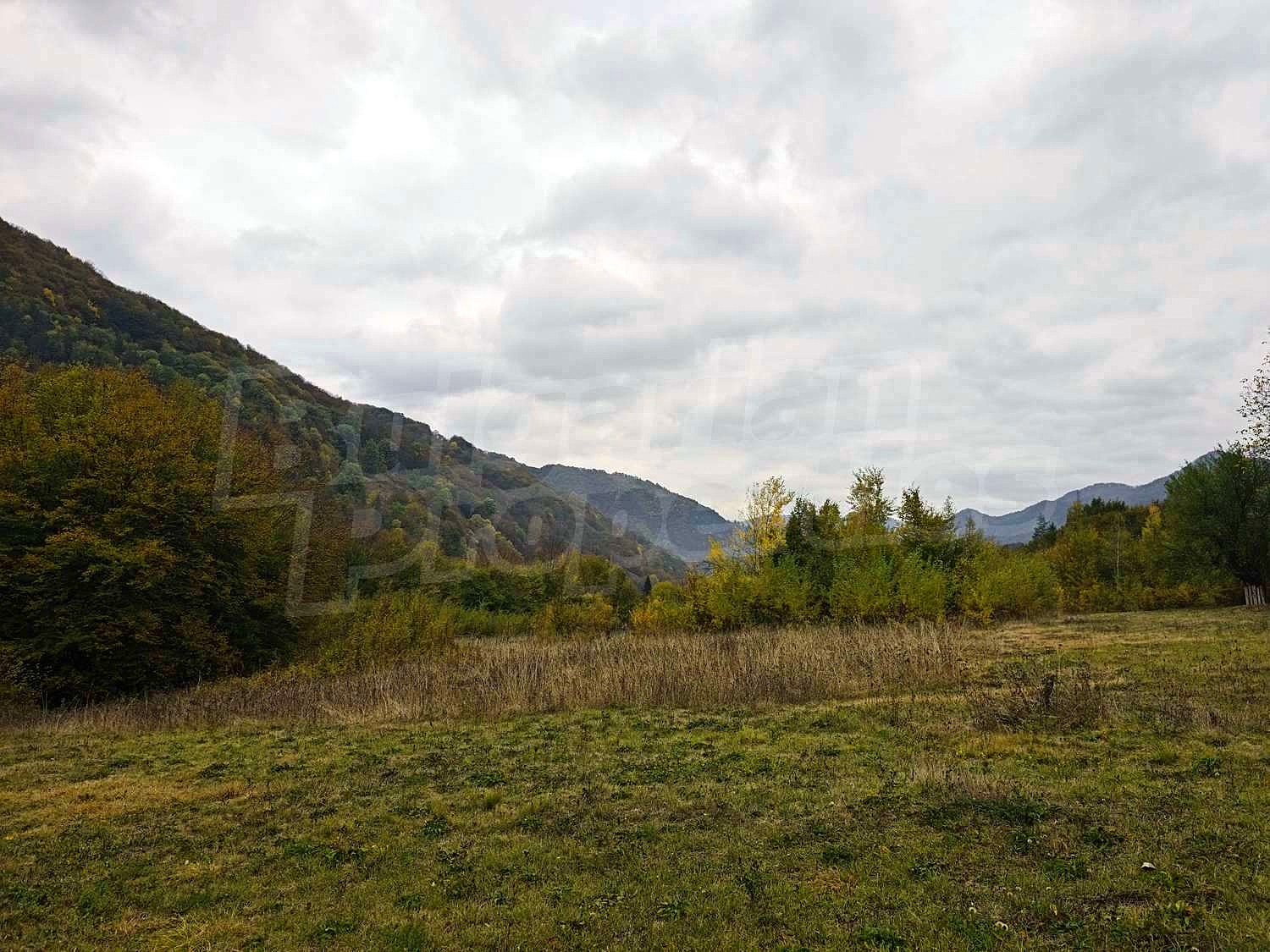 Gallery Picture 7
