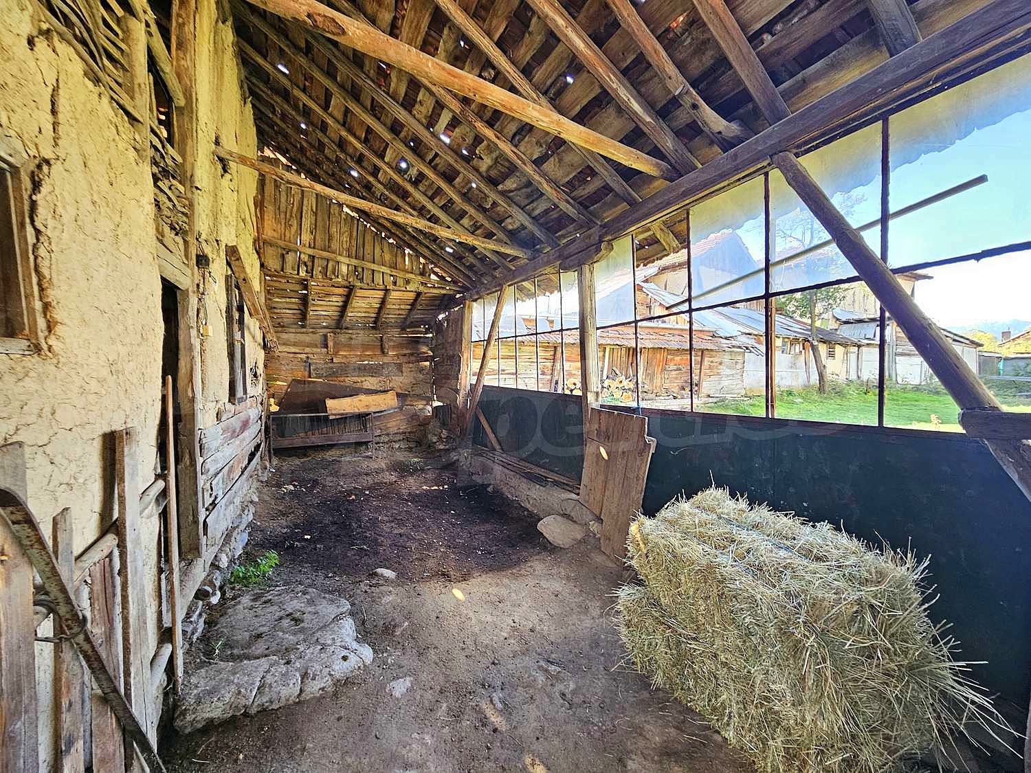 Gallery Picture 59