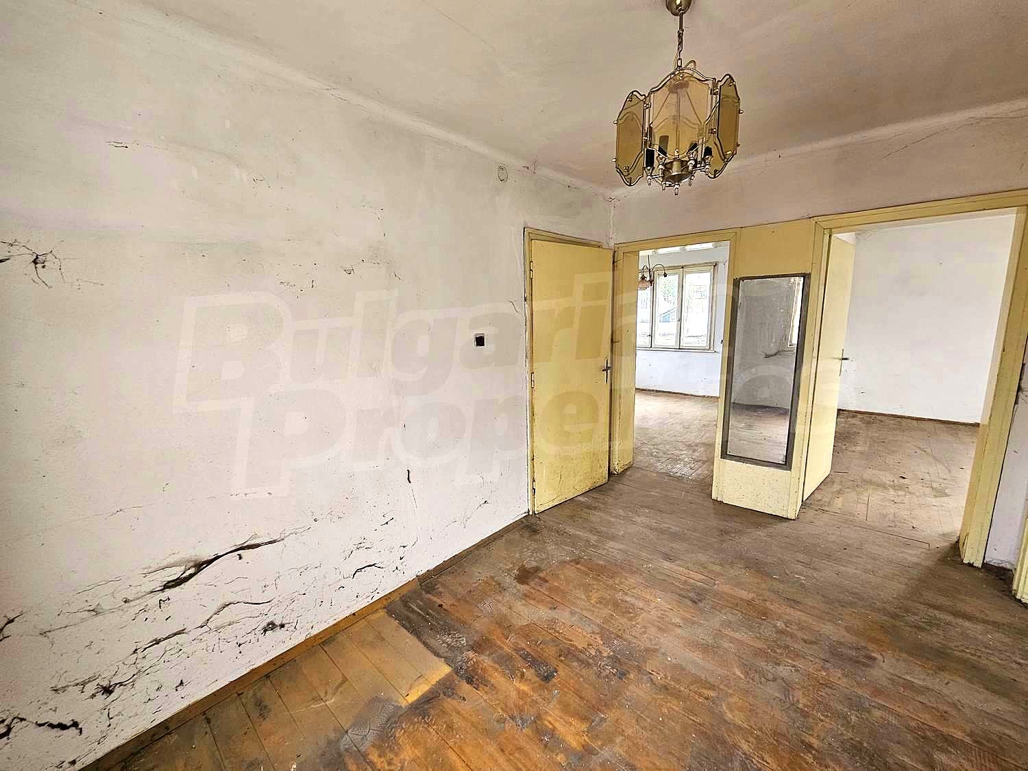 Gallery Picture 16