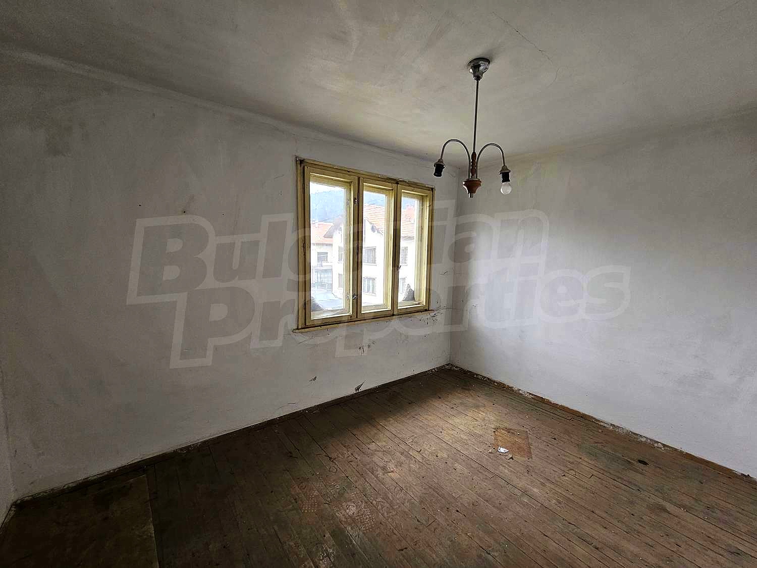 Gallery Picture 23