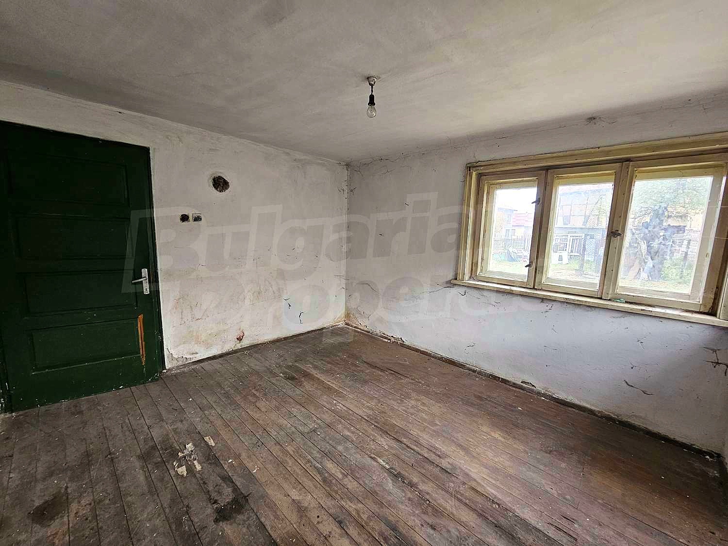 Gallery Picture 32