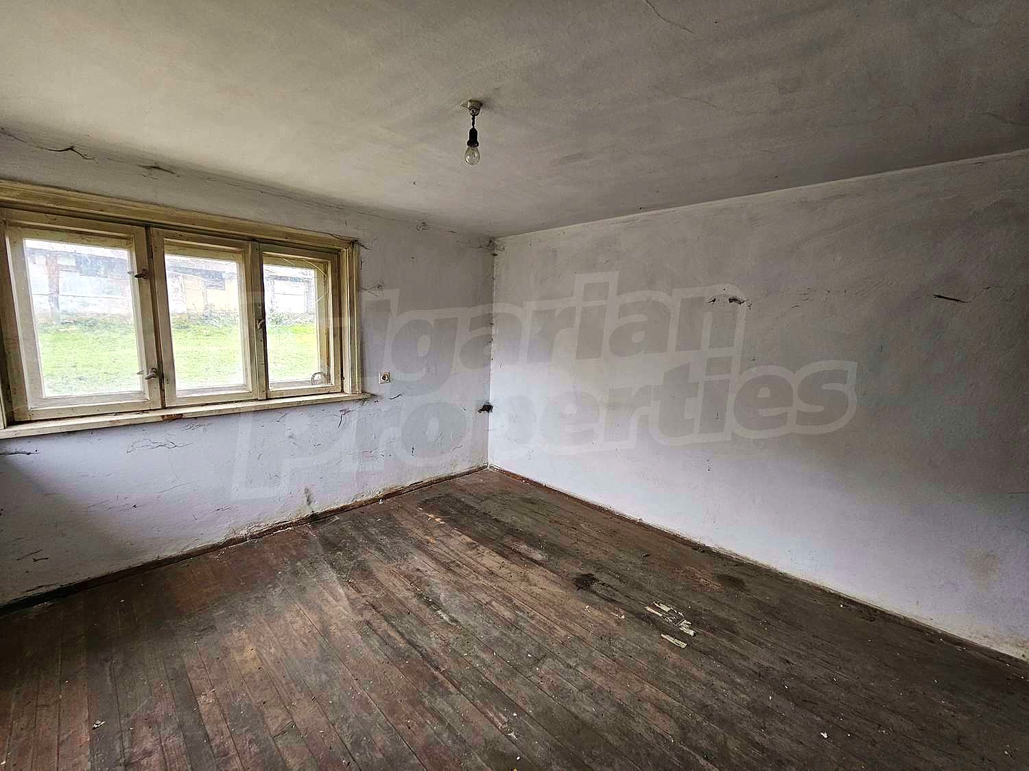 Gallery Picture 35