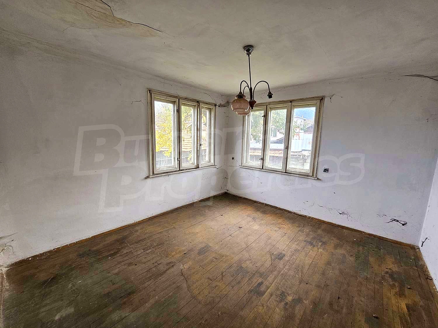 Gallery Picture 19