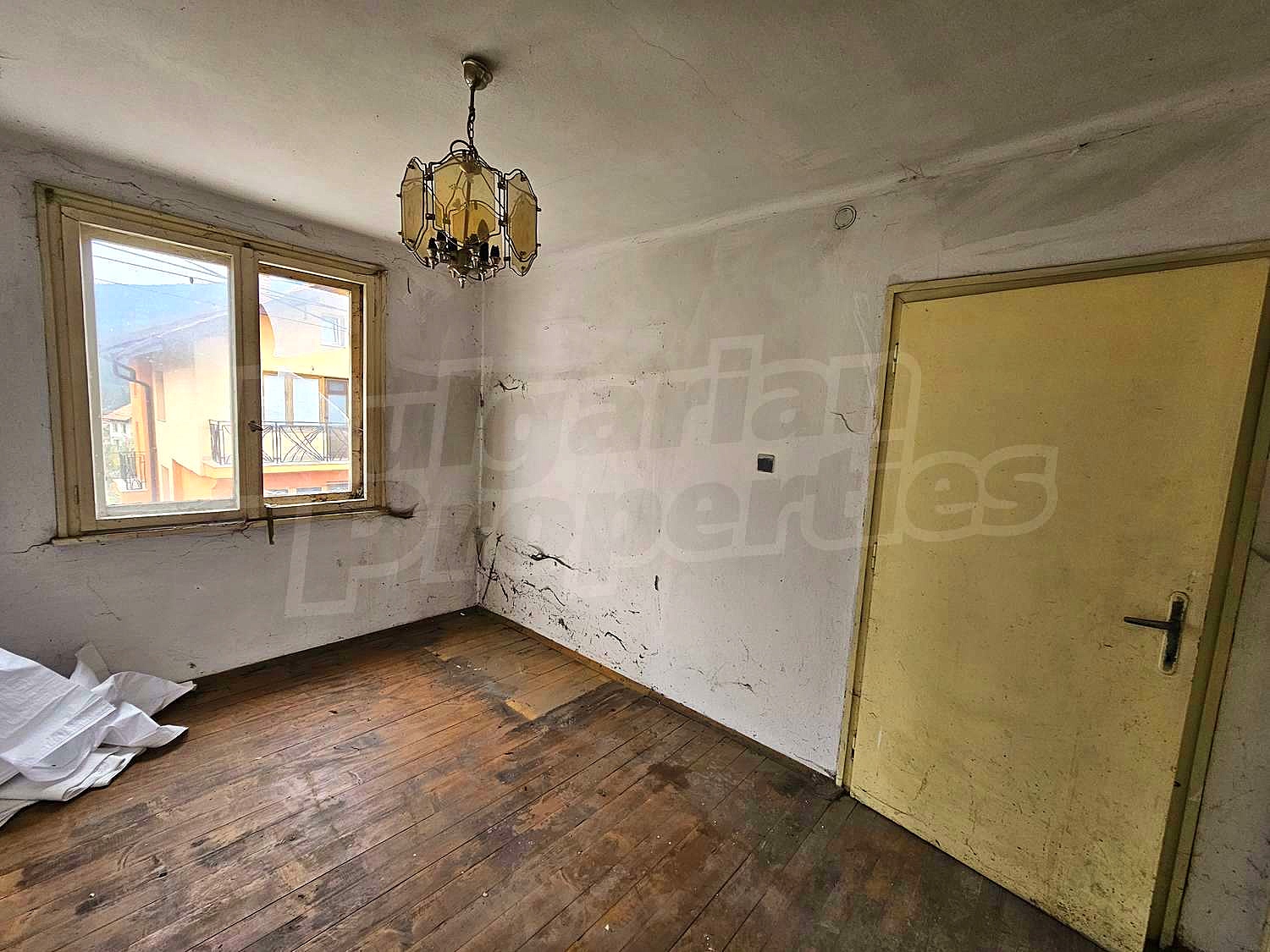 Gallery Picture 17