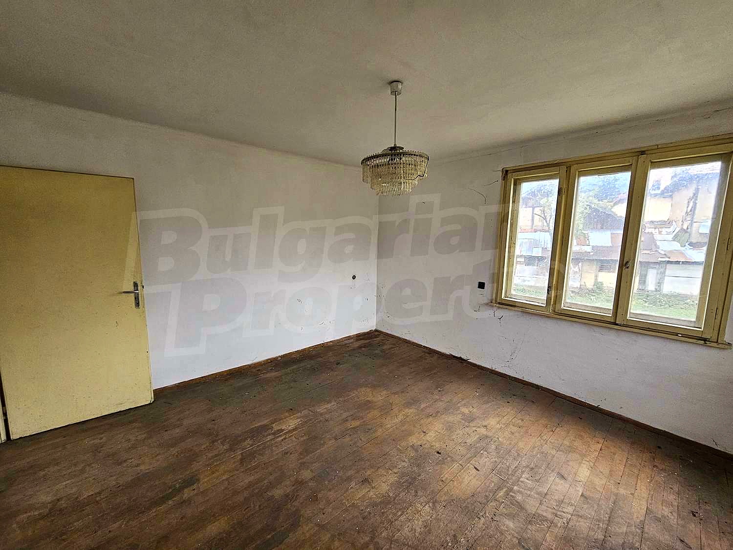 Gallery Picture 13