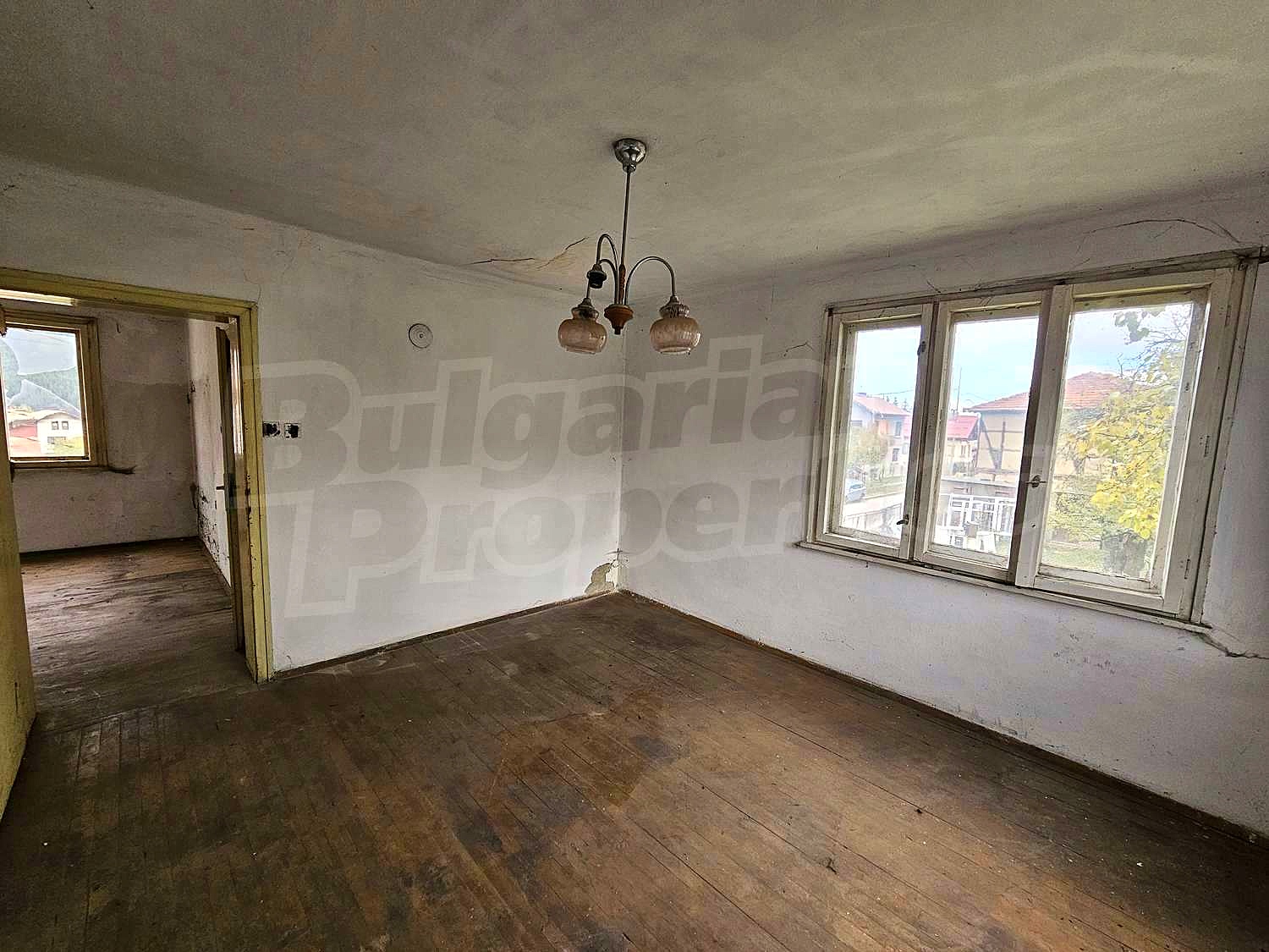 Gallery Picture 22