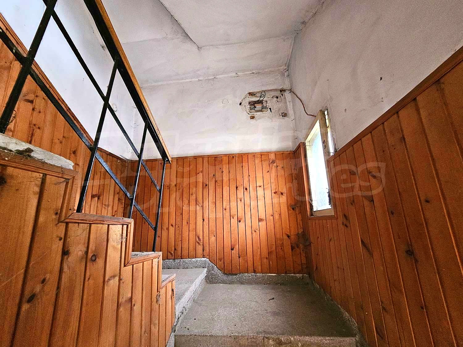 Gallery Picture 46