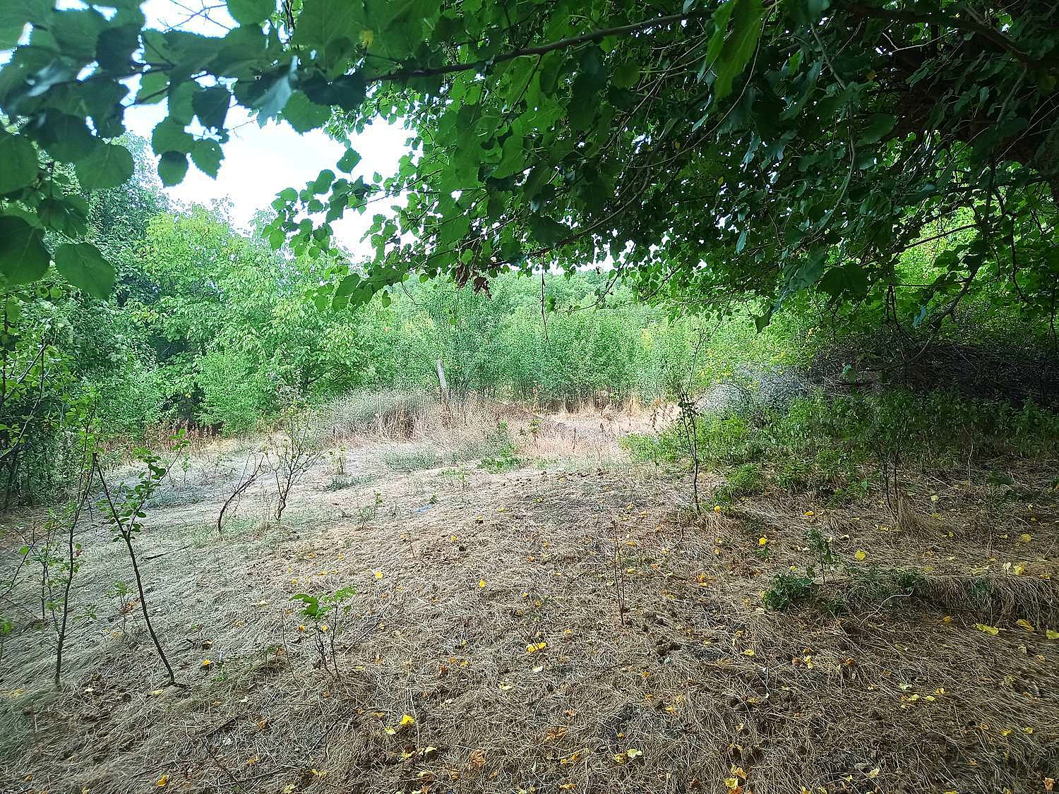 Gallery Picture 7