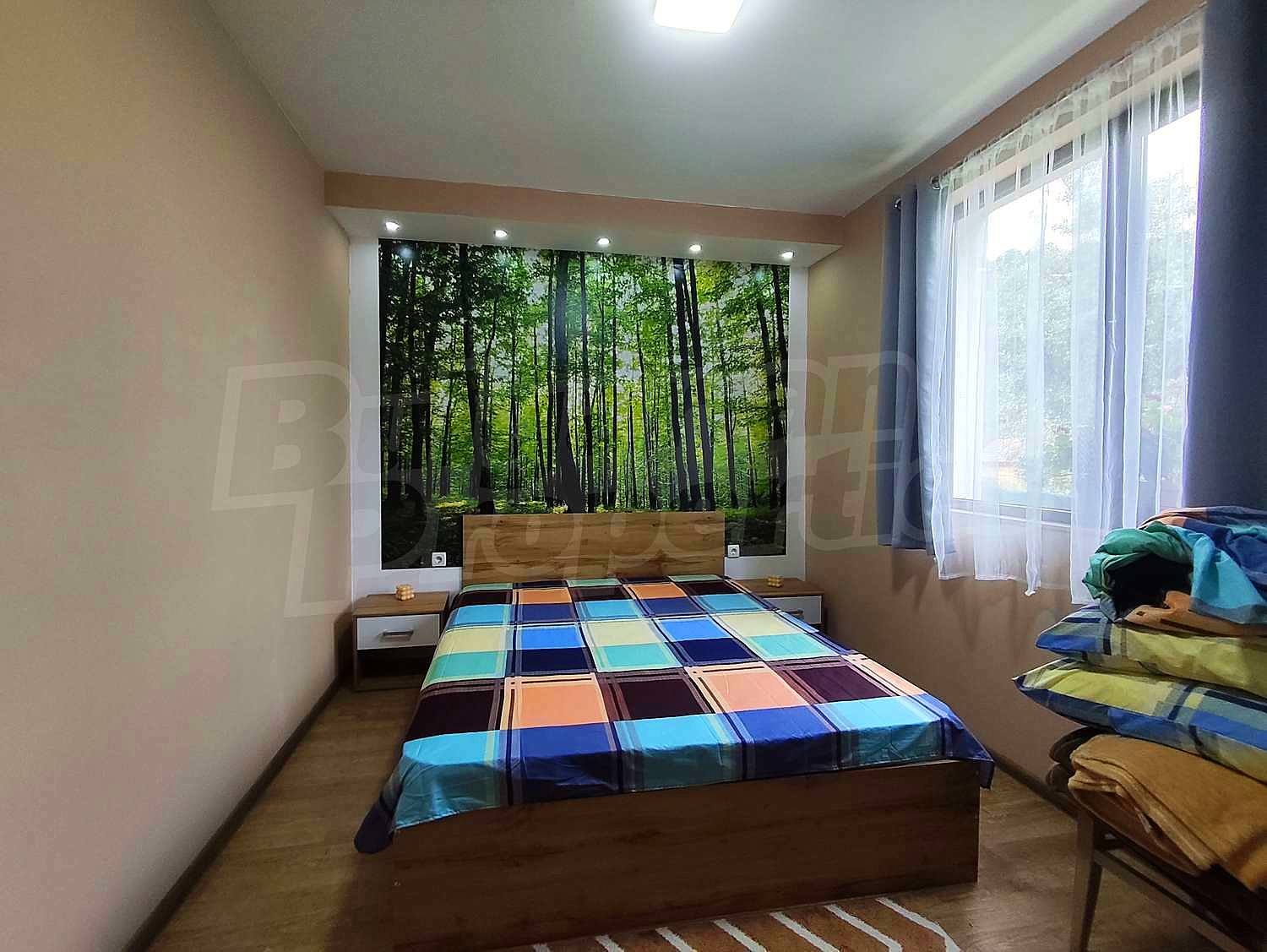 Gallery Picture 10