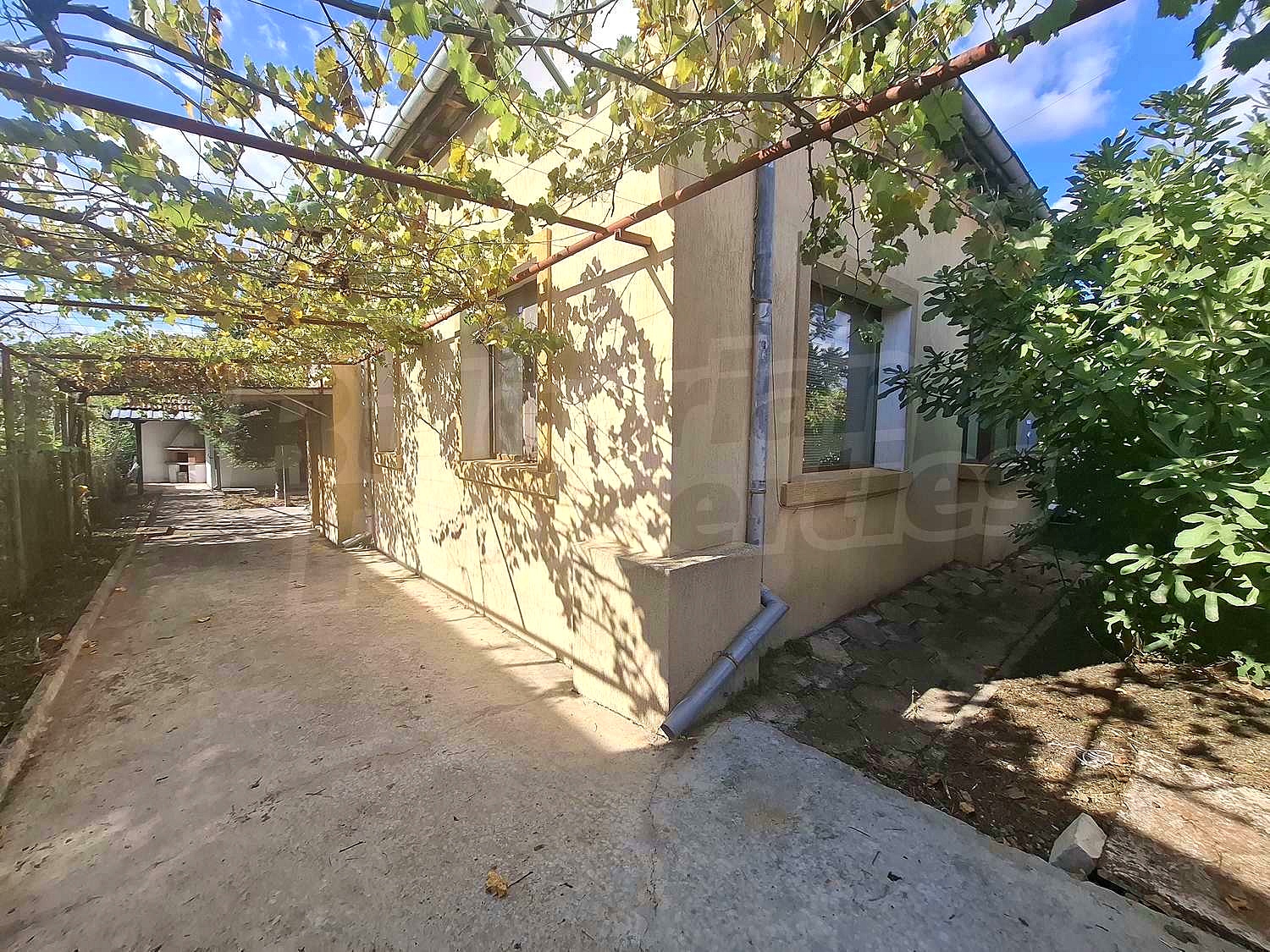 Gallery Picture 2