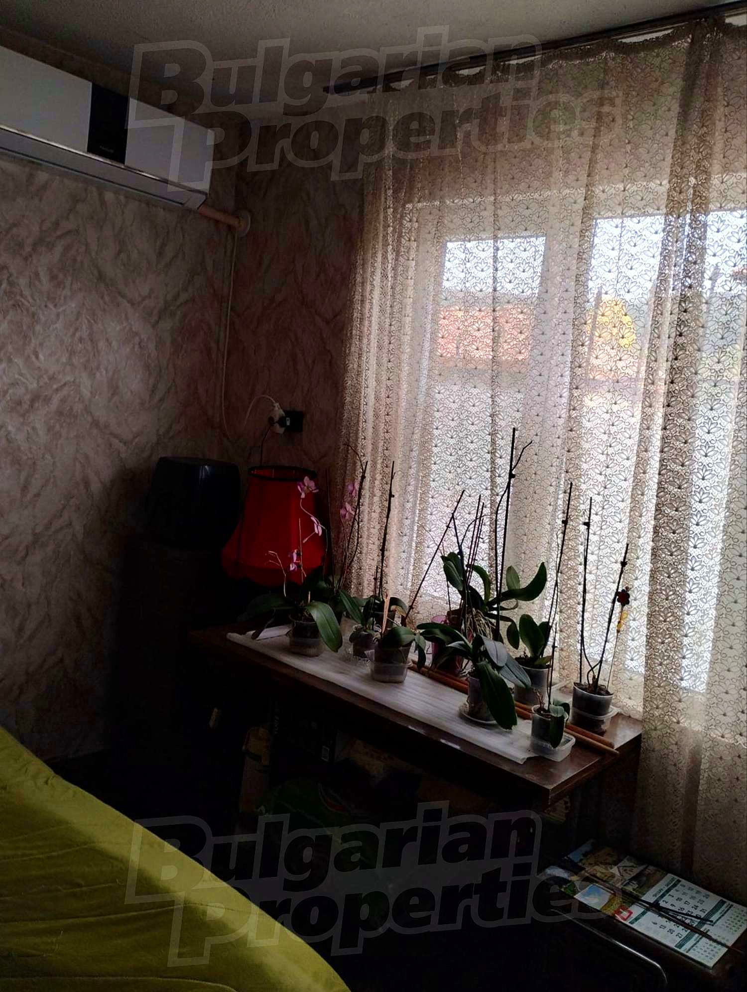 Gallery Picture 9
