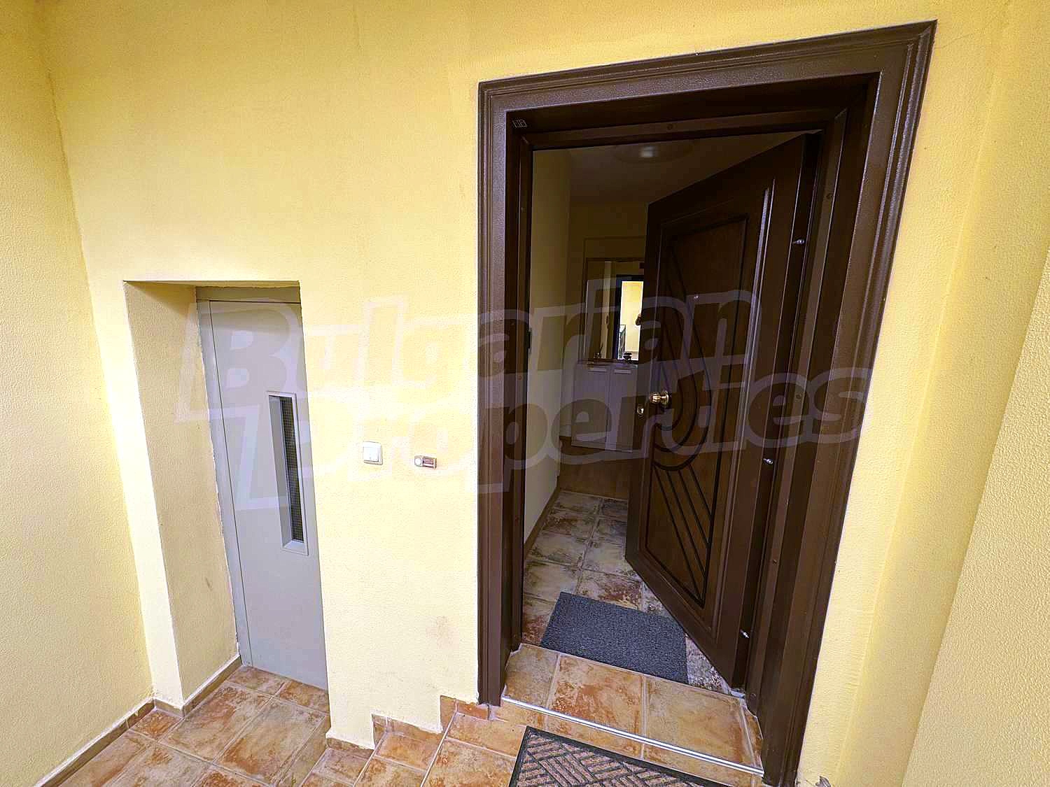 Gallery Picture 49