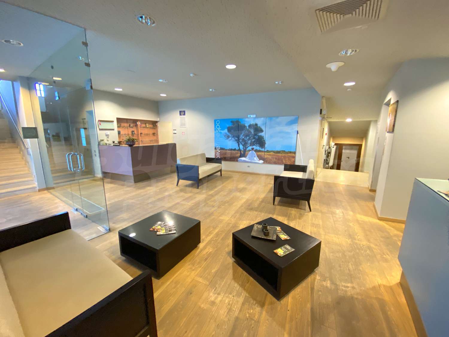 Gallery Picture 34