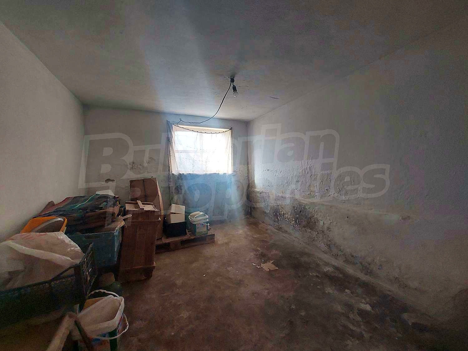 Gallery Picture 12