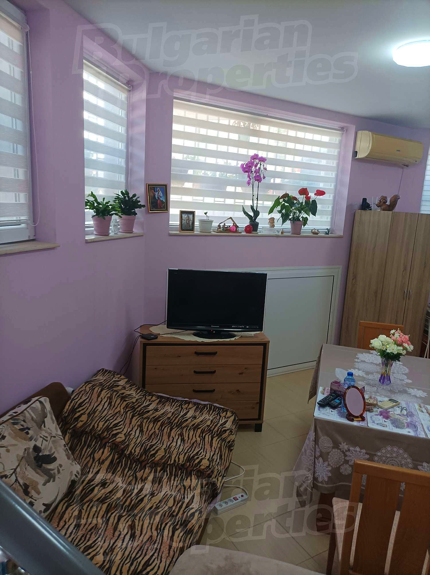 Gallery Picture 11