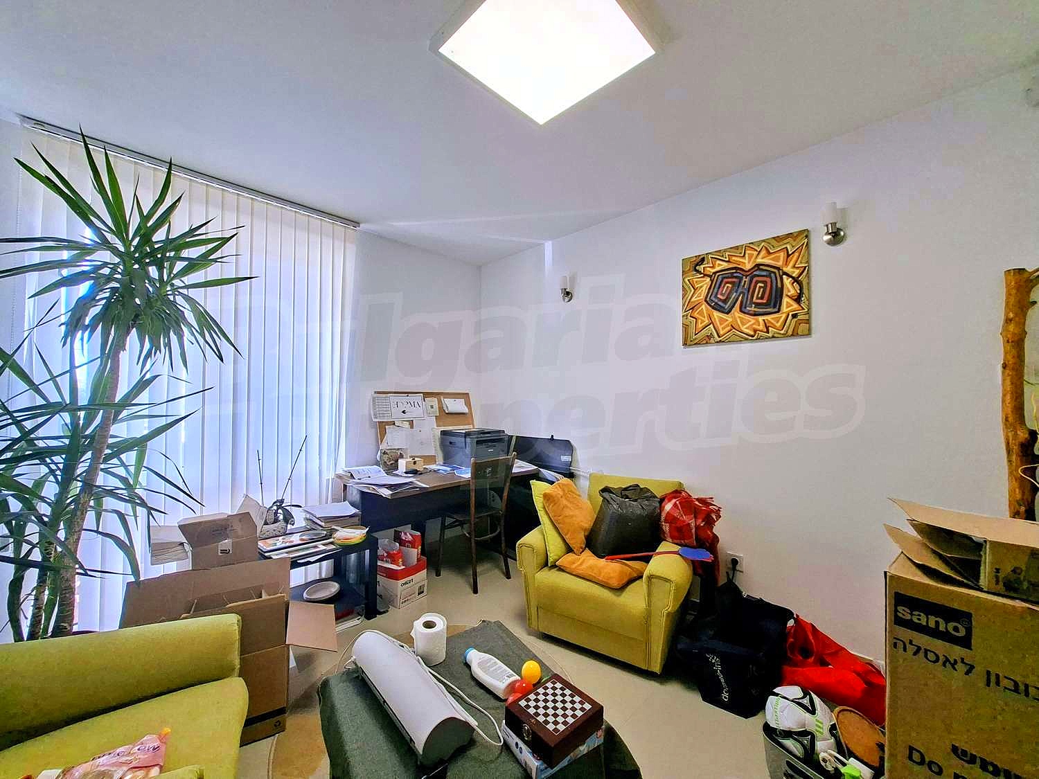 Gallery Picture 10