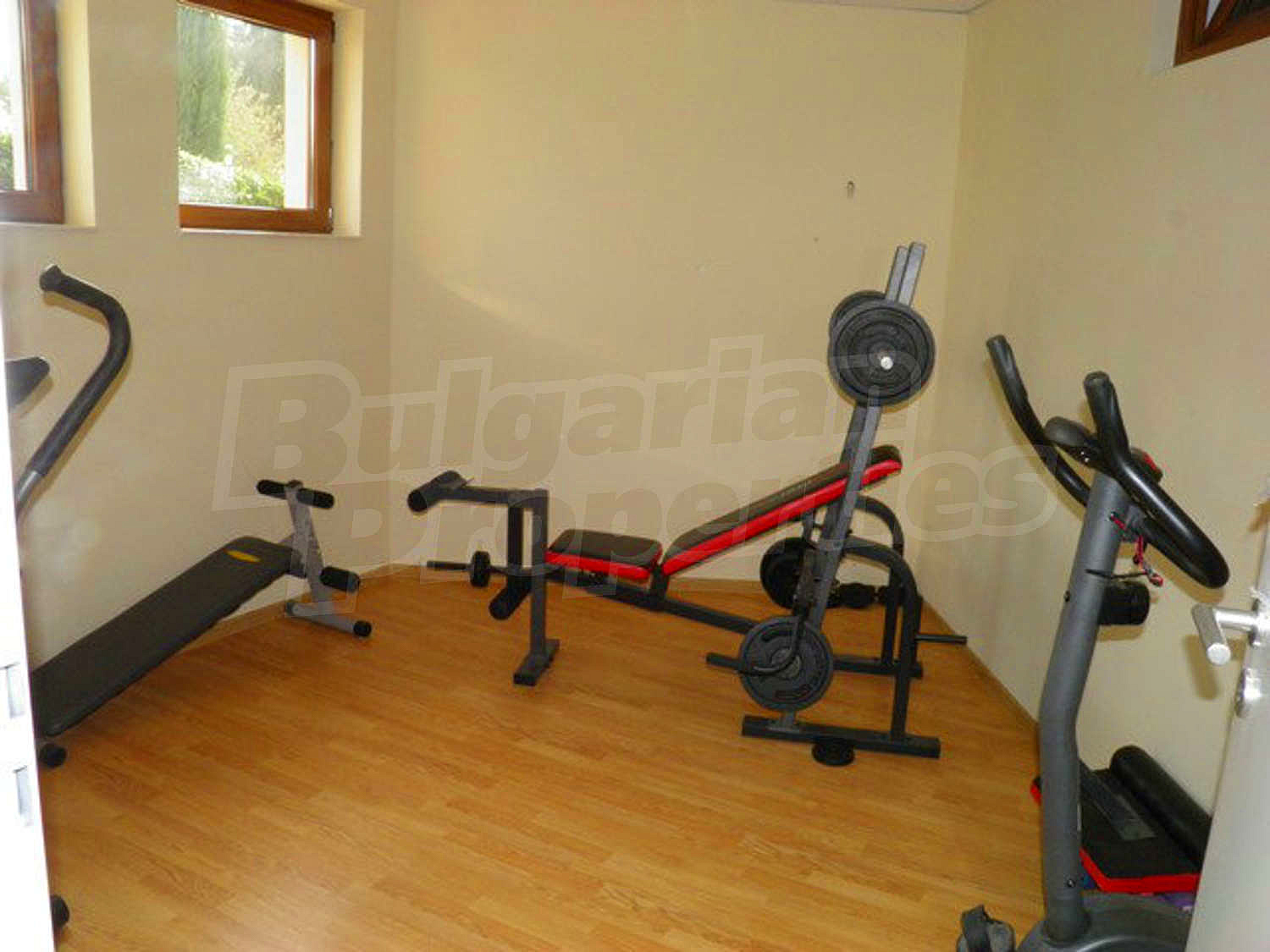 Gallery Picture 33