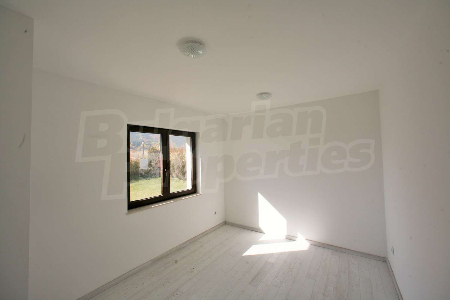 Gallery Picture 21