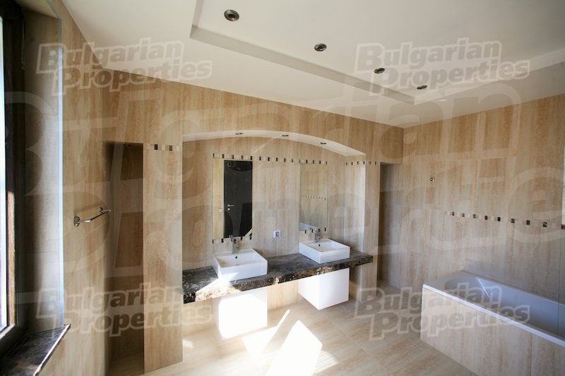 Gallery Picture 26