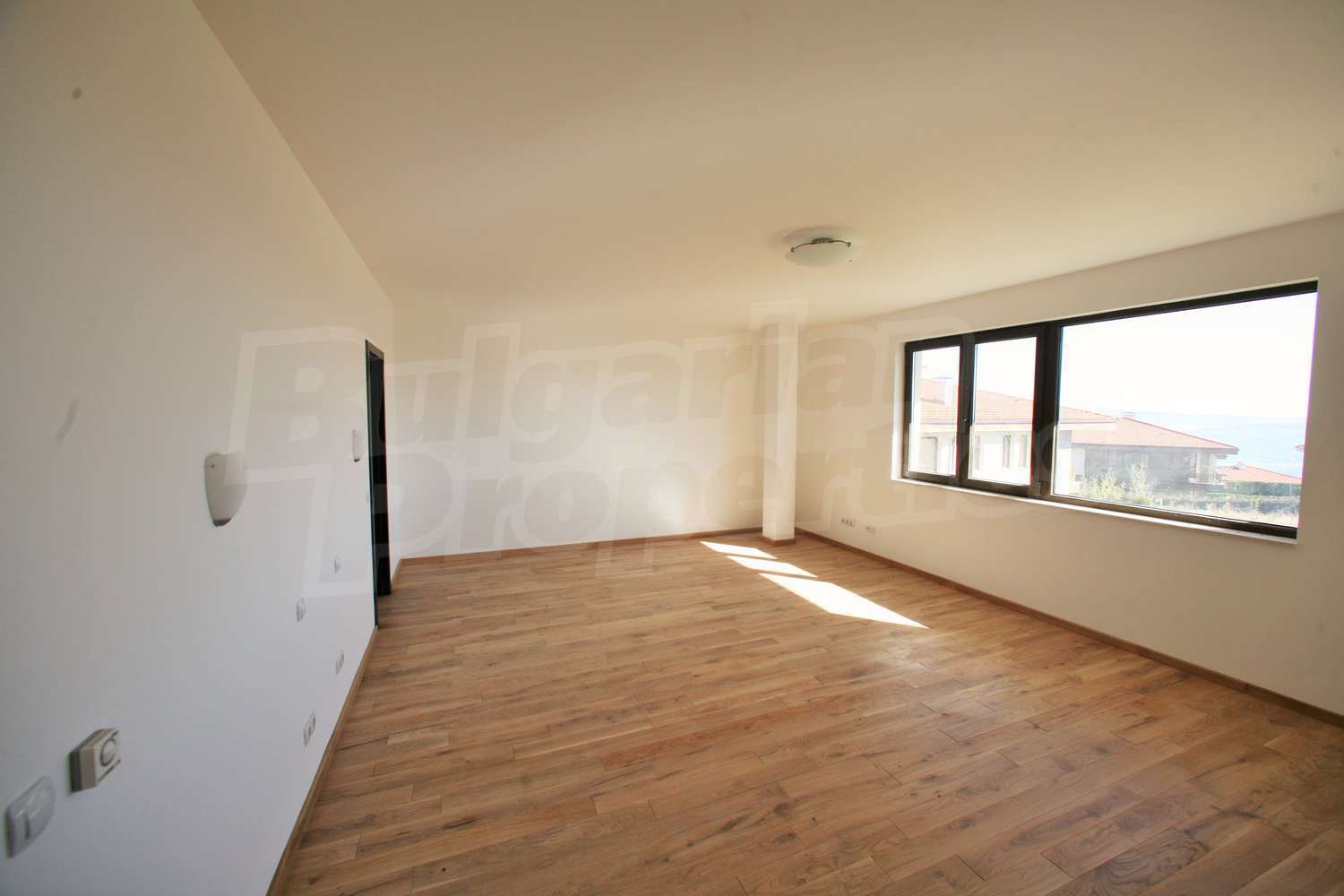Gallery Picture 37