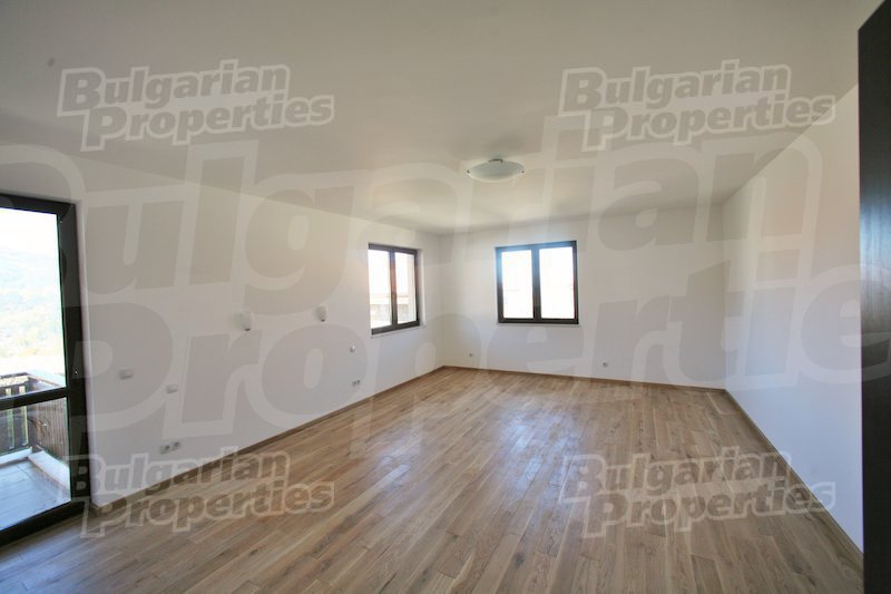 Gallery Picture 38
