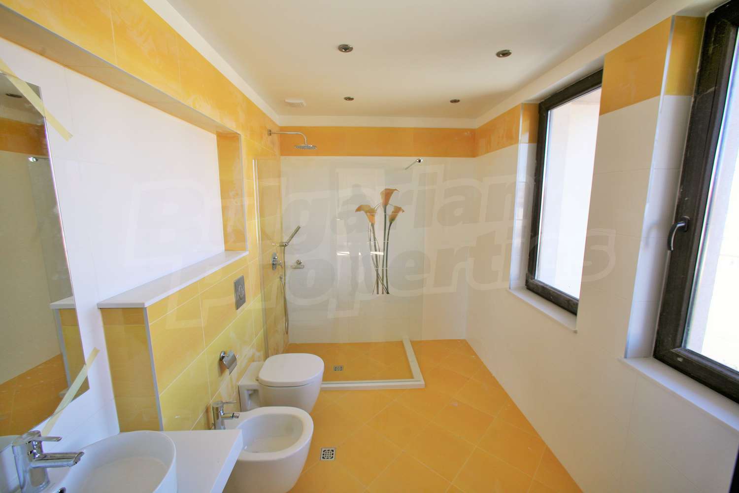 Gallery Picture 39