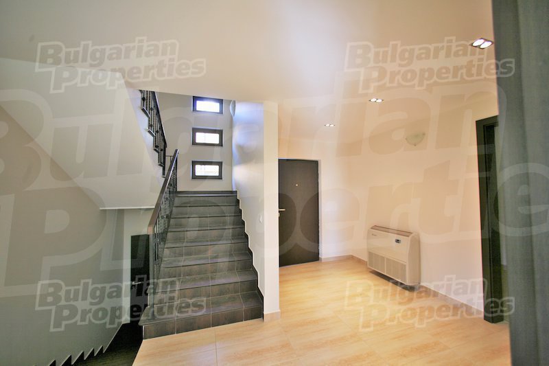Gallery Picture 8