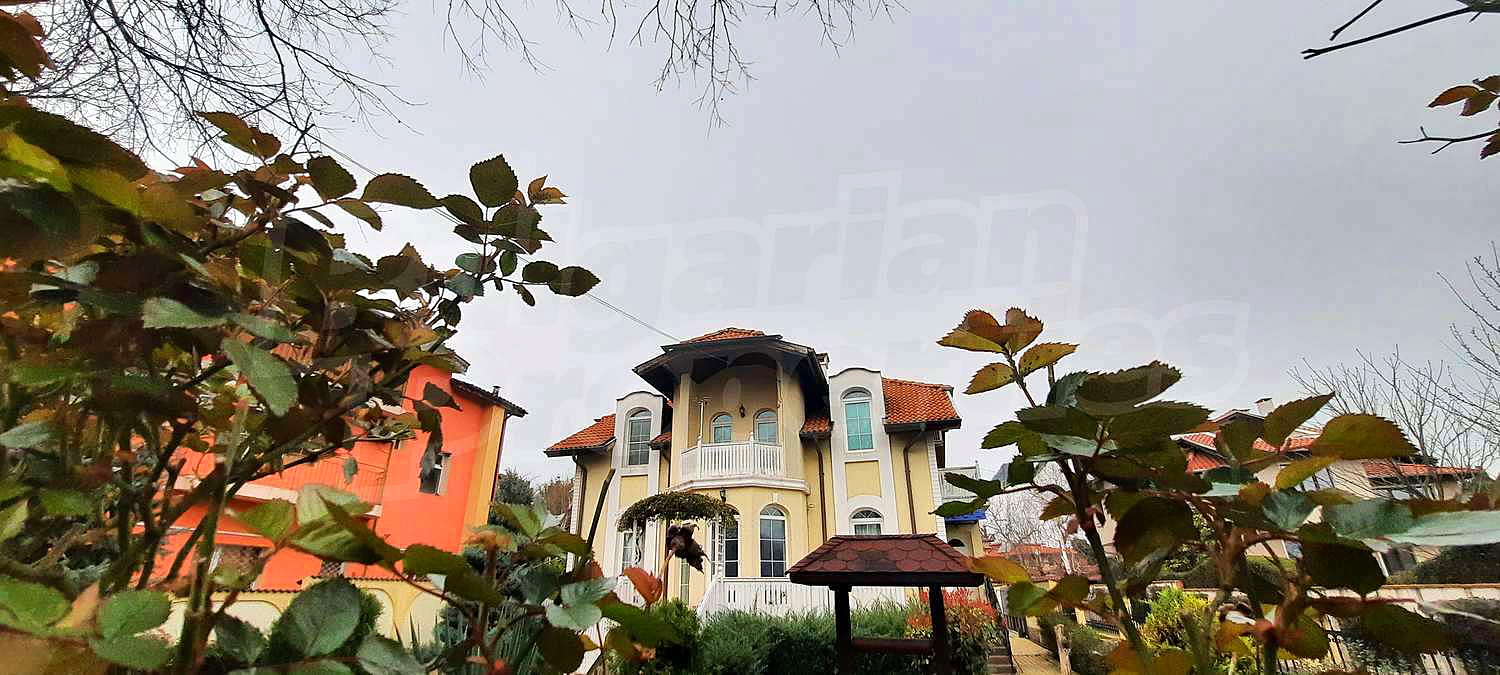 Gallery Picture 40