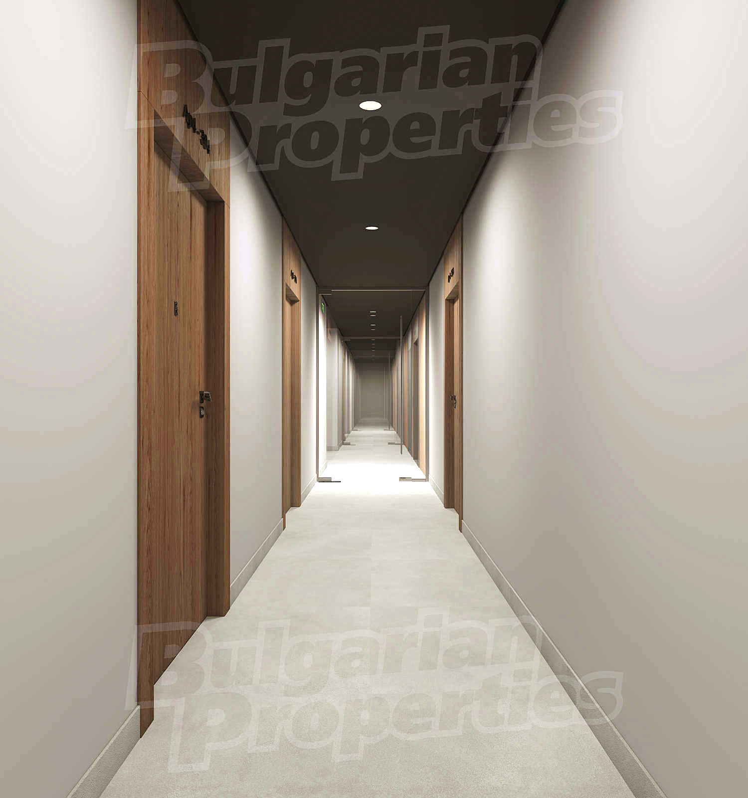 Gallery Picture 31