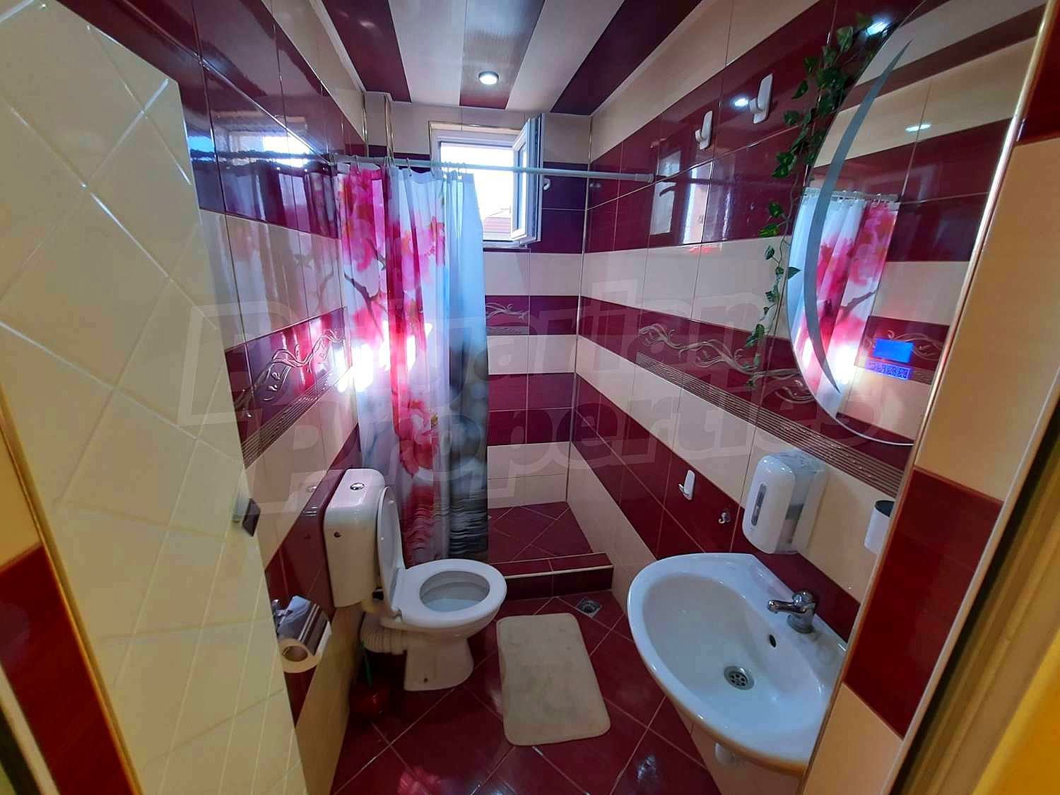 Gallery Picture 18