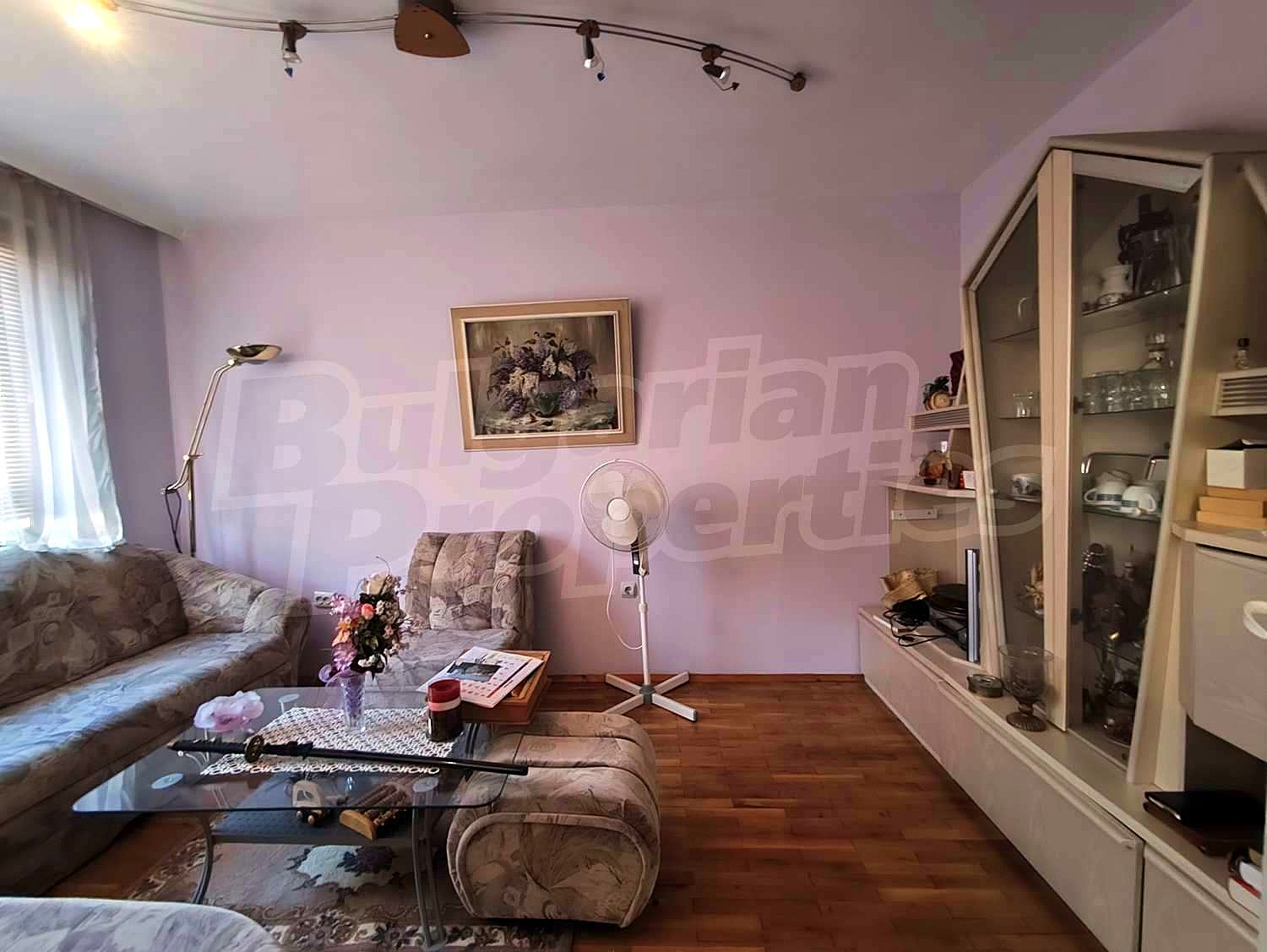 Gallery Picture 12