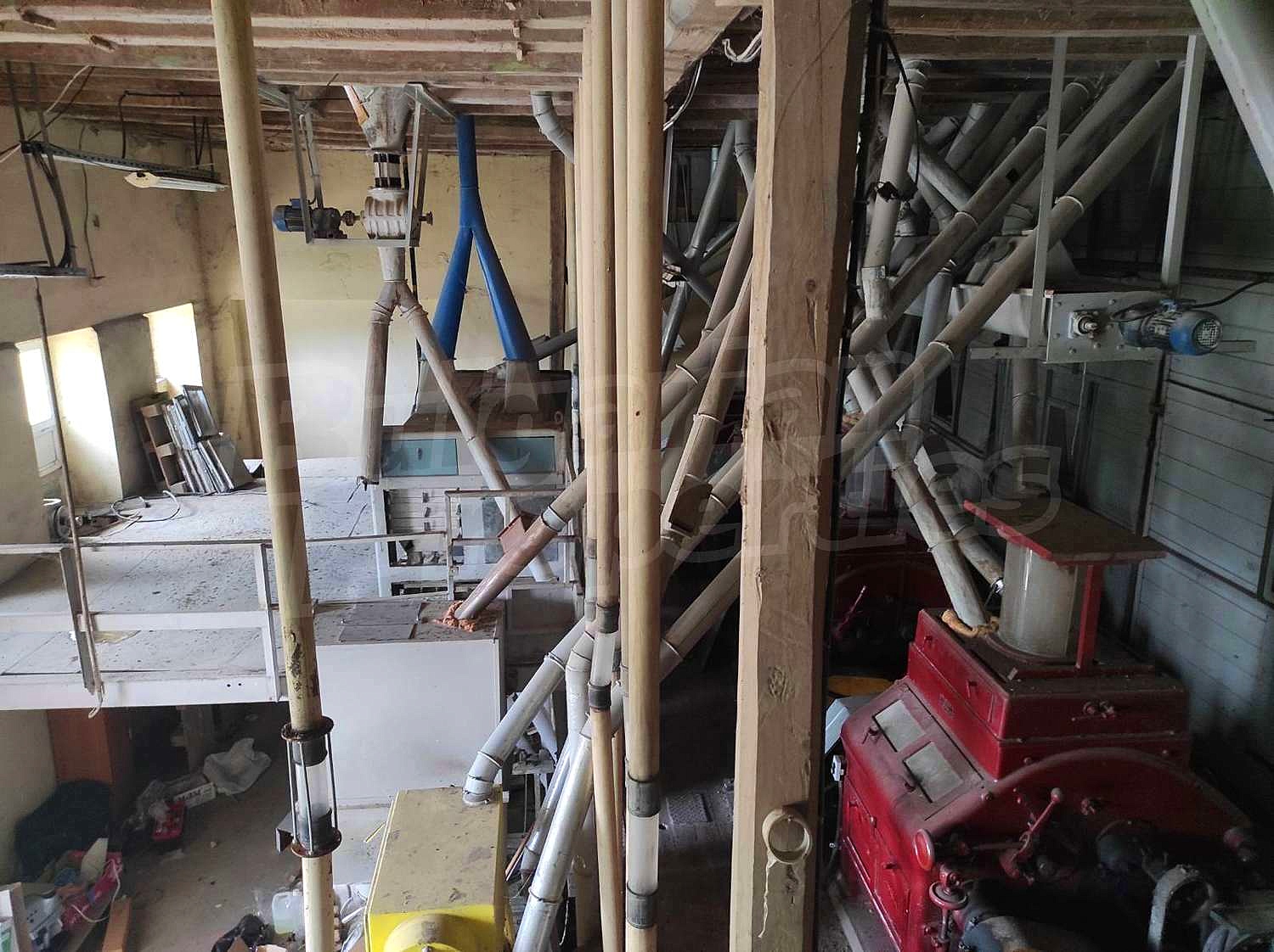 Gallery Picture 12