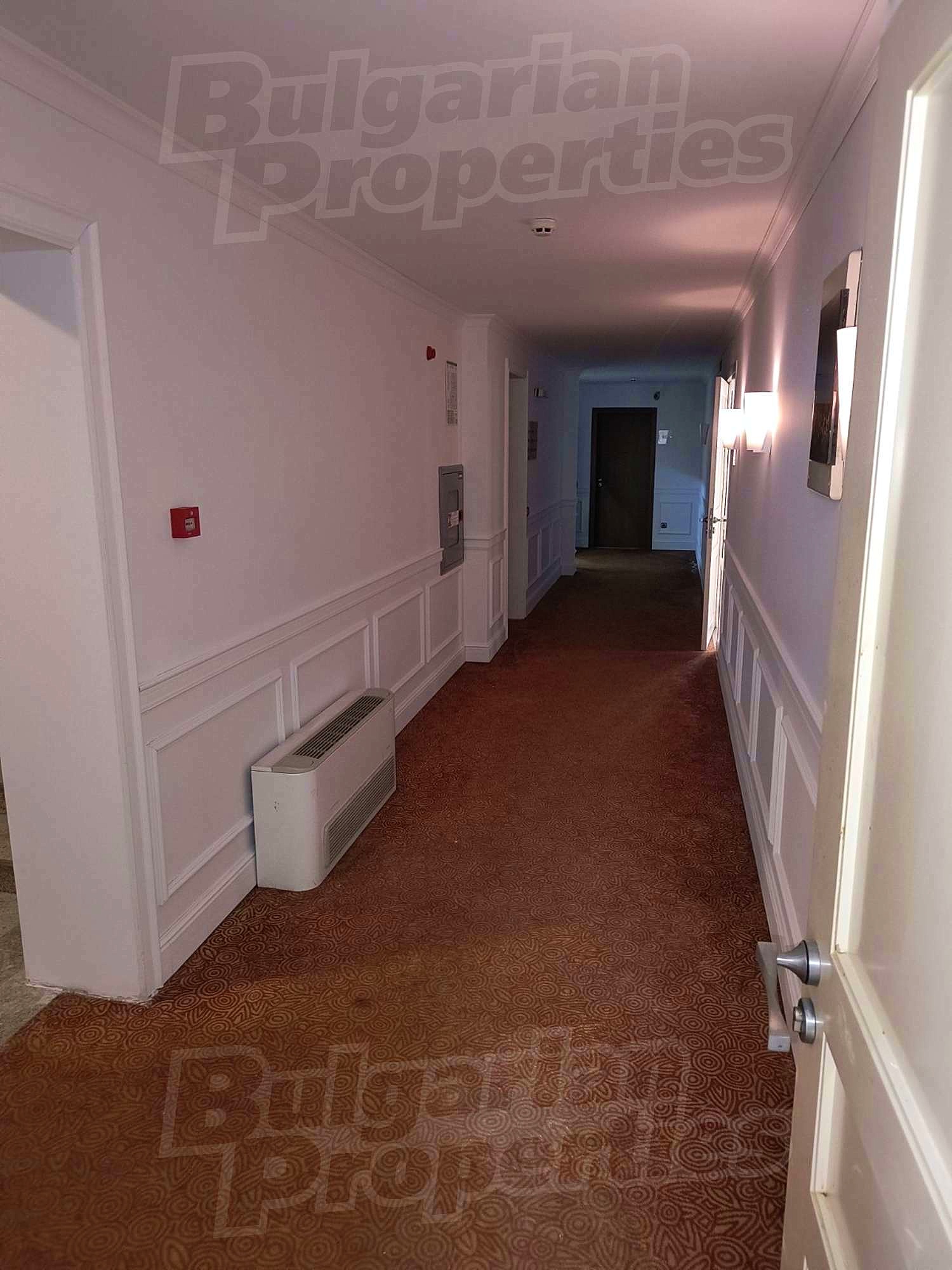 Gallery Picture 16