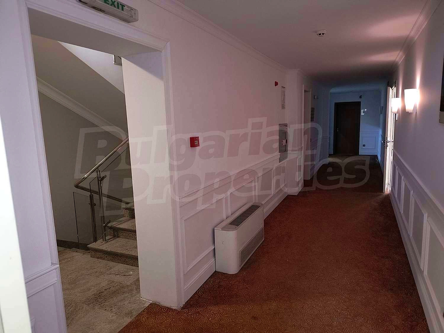 Gallery Picture 18