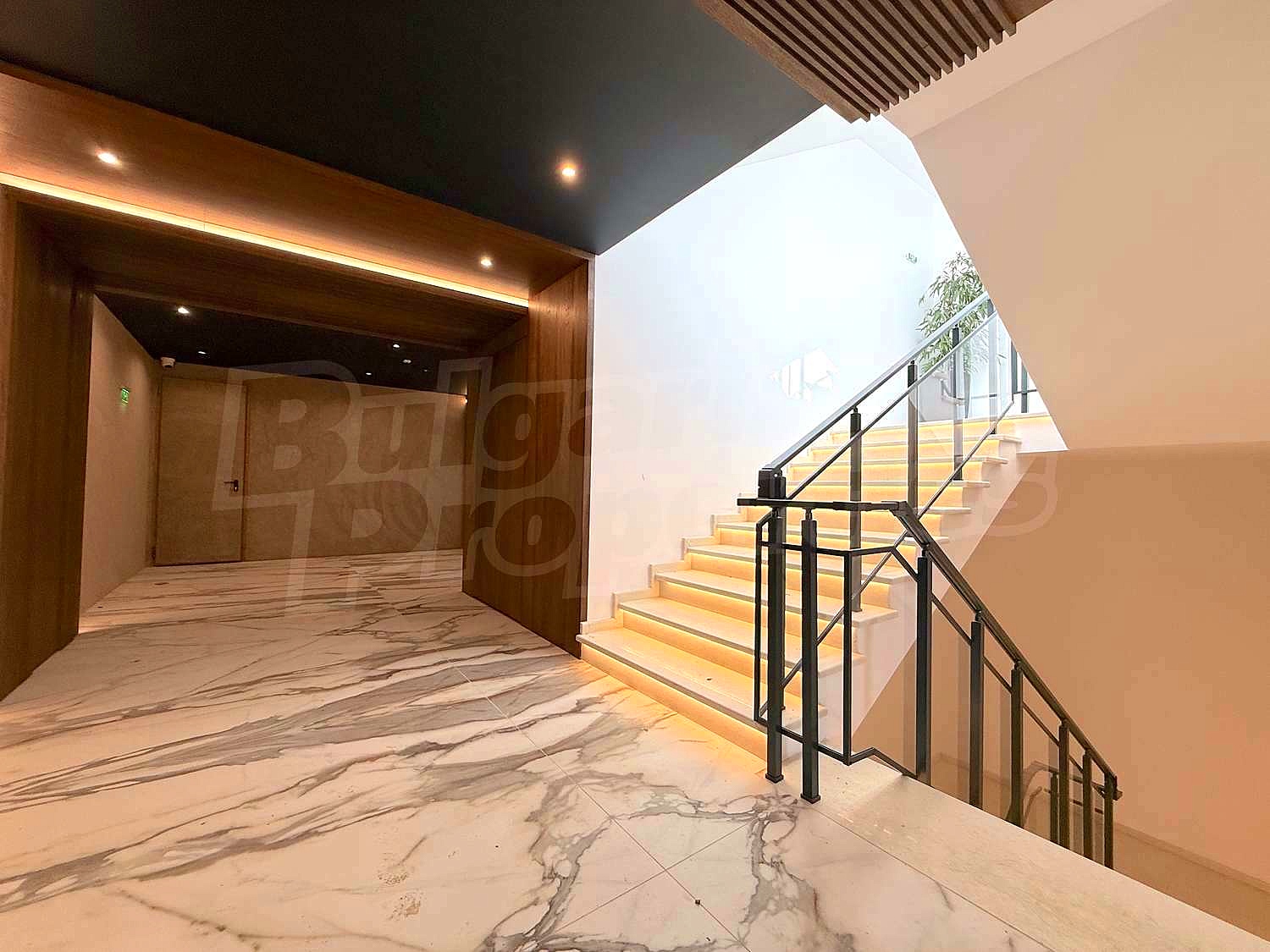 Gallery Picture 34