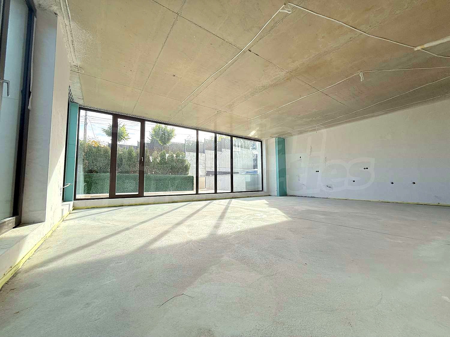 Gallery Picture 44
