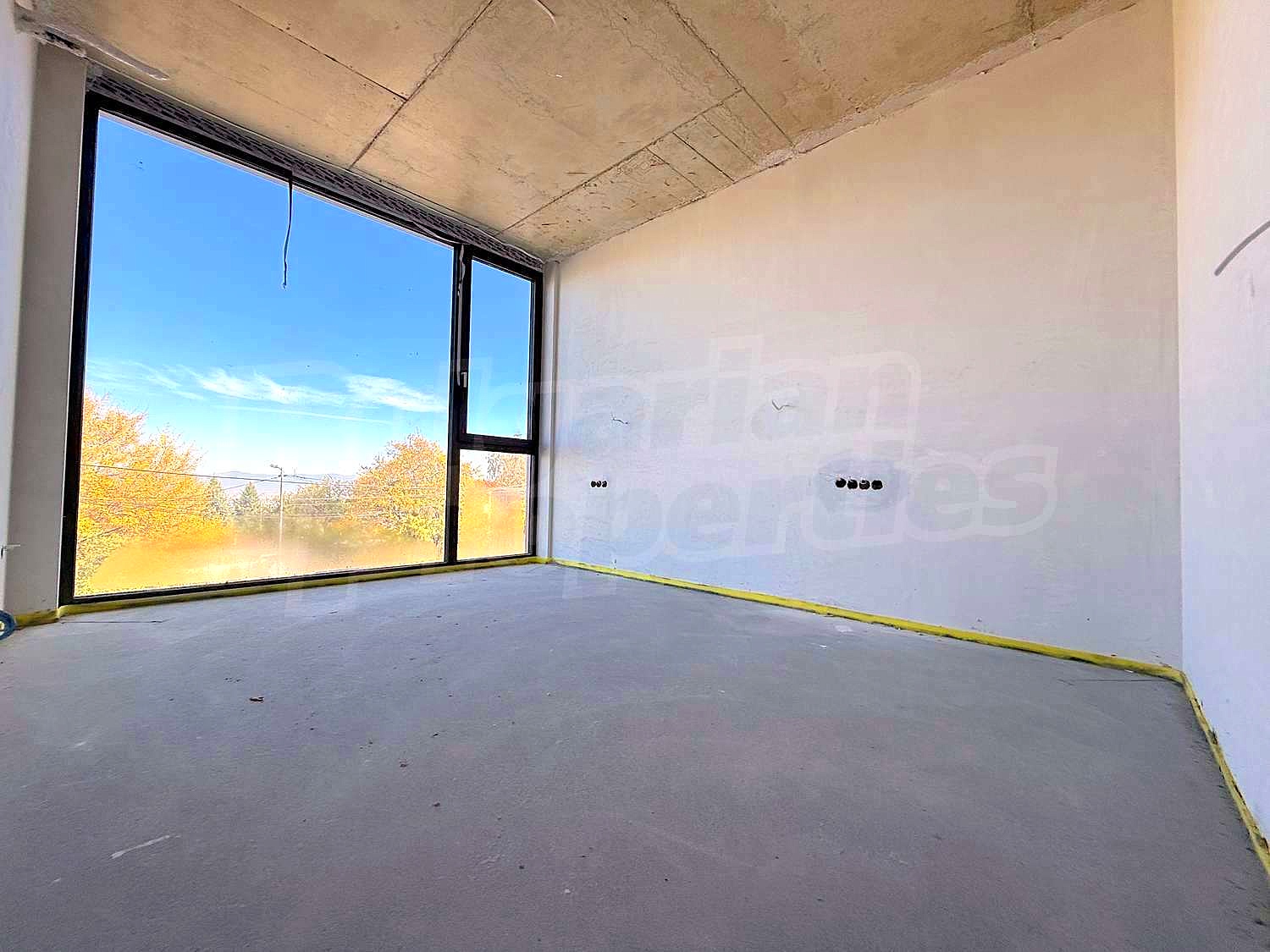 Gallery Picture 56