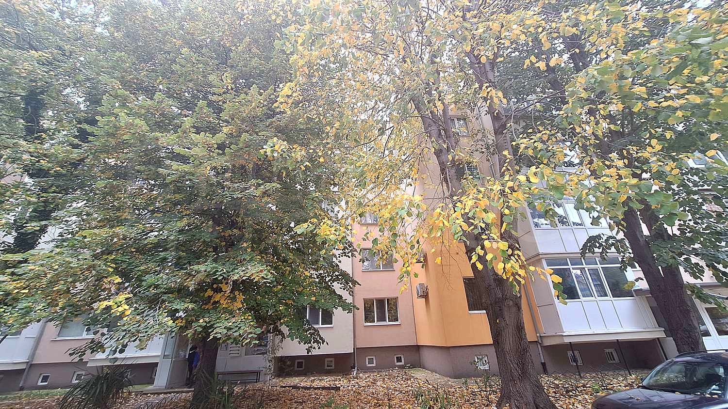 Gallery Picture 16