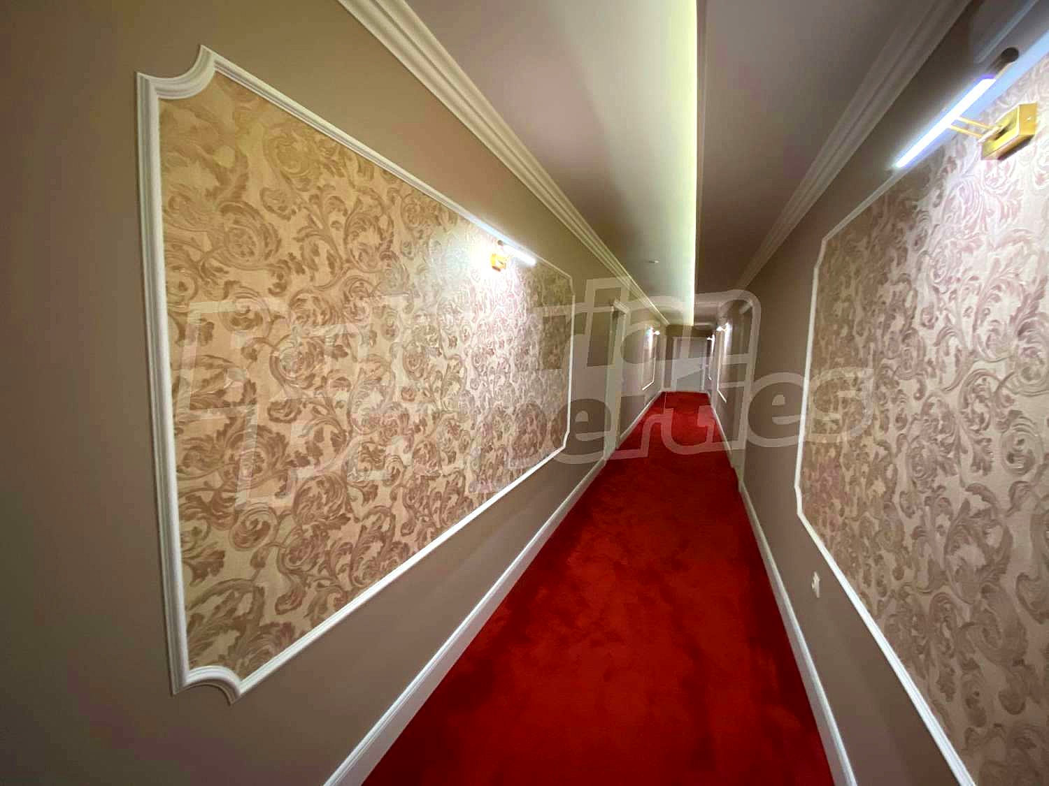 Gallery Picture 40