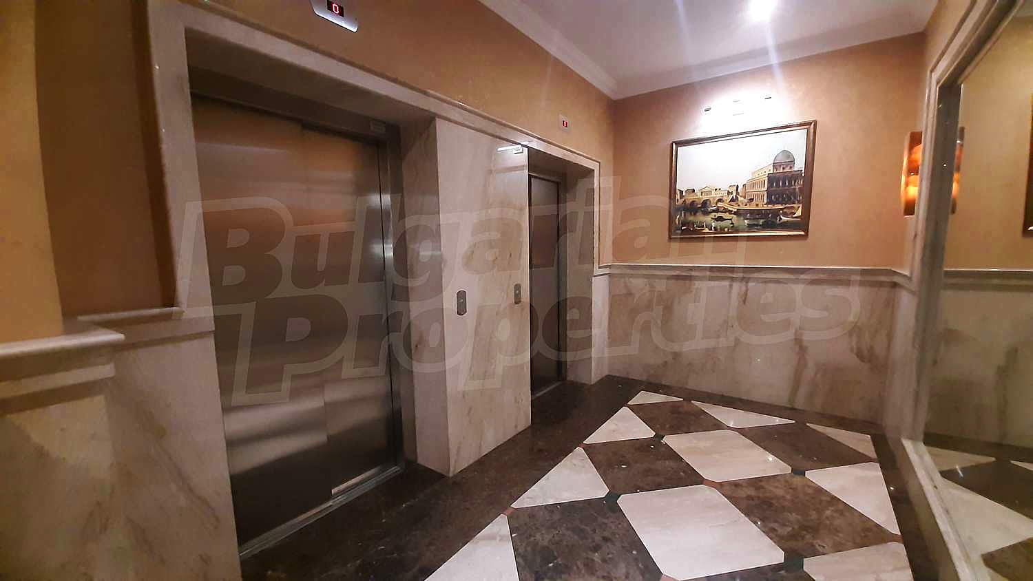 Gallery Picture 35
