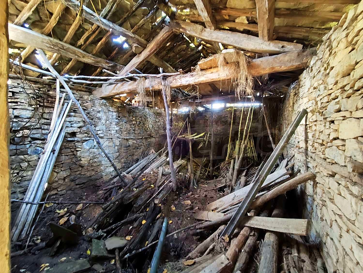 Gallery Picture 38