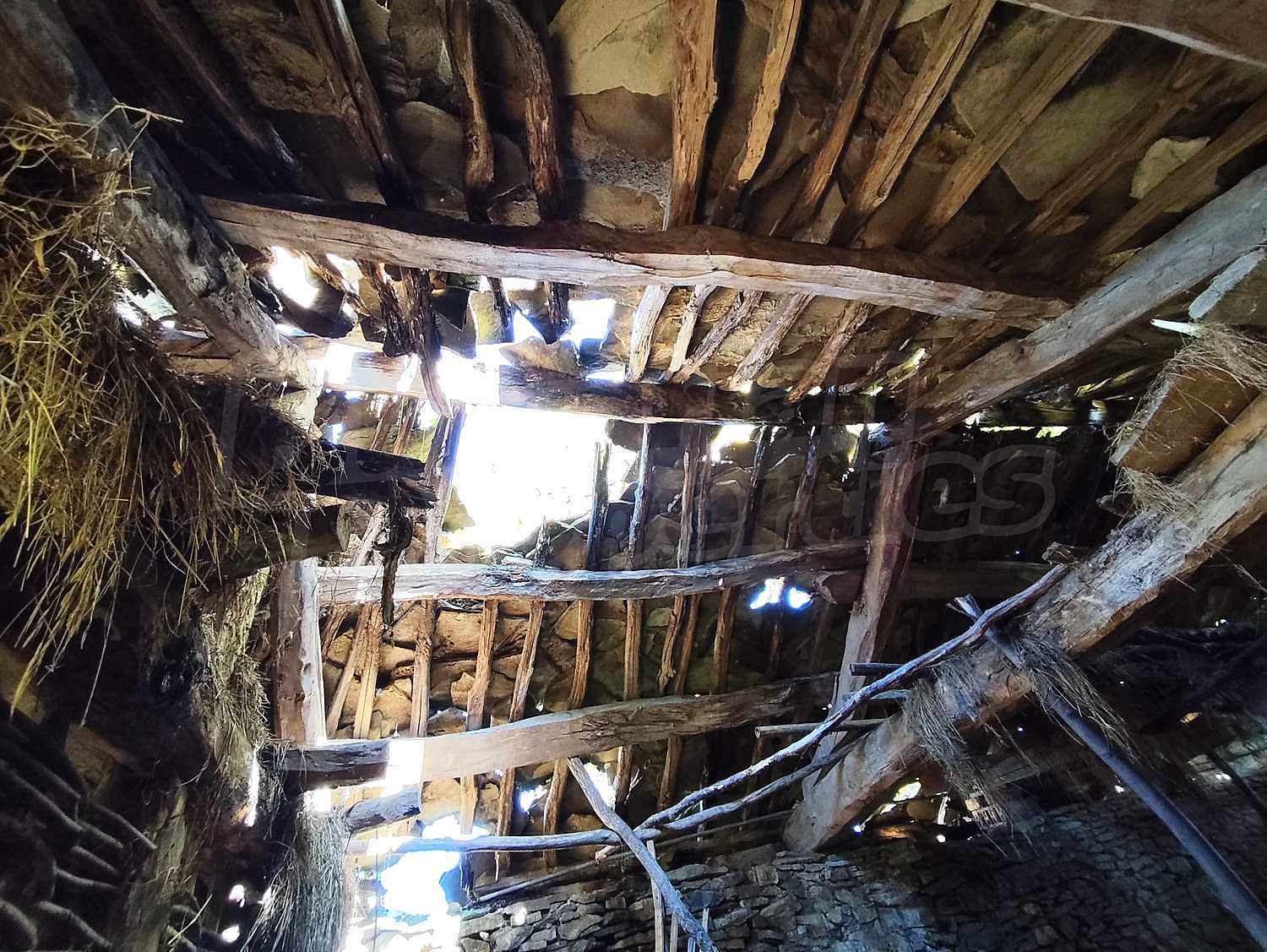 Gallery Picture 40