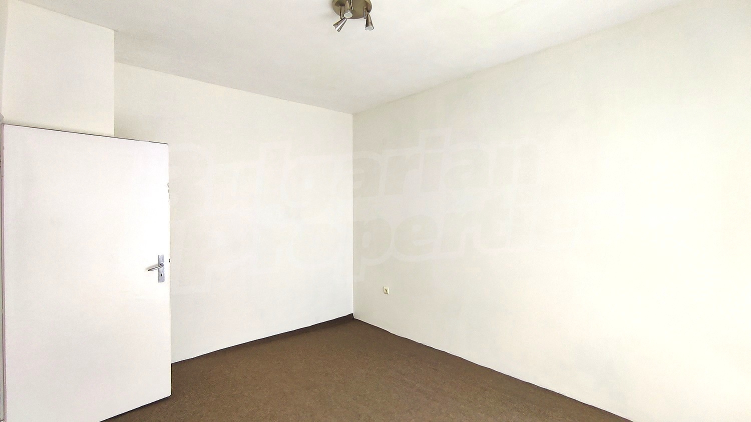 Gallery Picture 14
