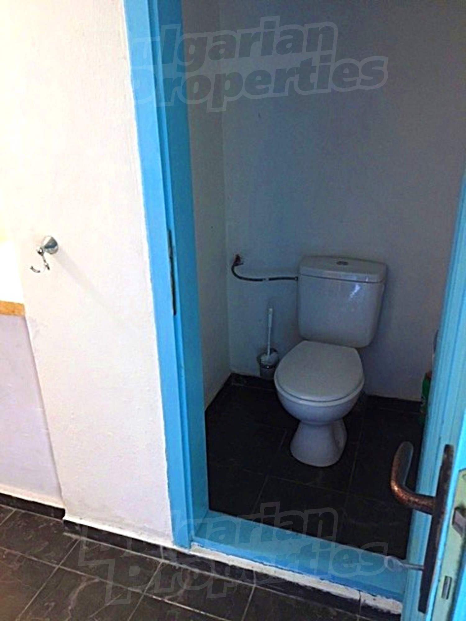 Gallery Picture 15