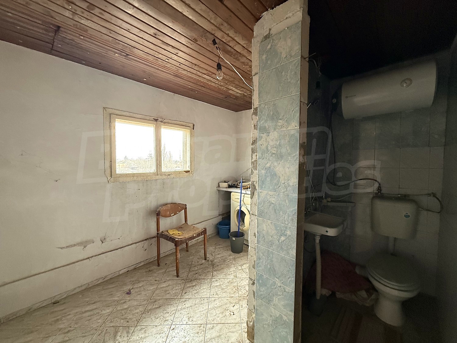 Gallery Picture 7